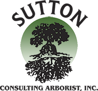 Sutton Consulting Arborist, Inc.